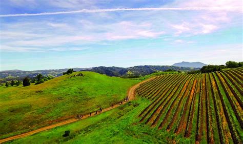 Sonoma County Wine Hiking Trails: Vineyard Hikes with Views | Wine country travel, Sonoma county ...