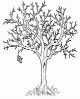 tree fall coloring Pages  Visual Coloringpages sketch template