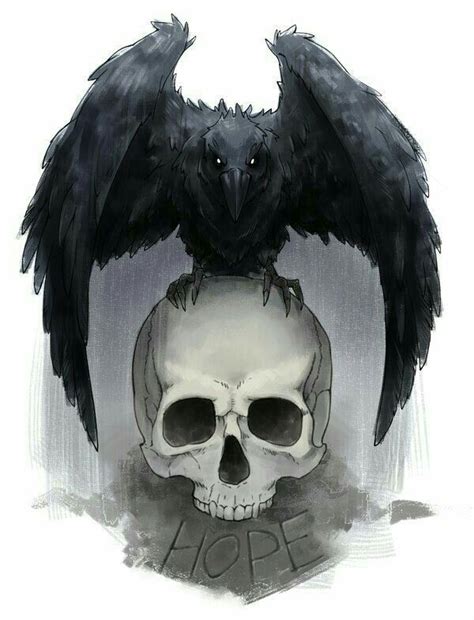 a black bird sitting on top of a human skull