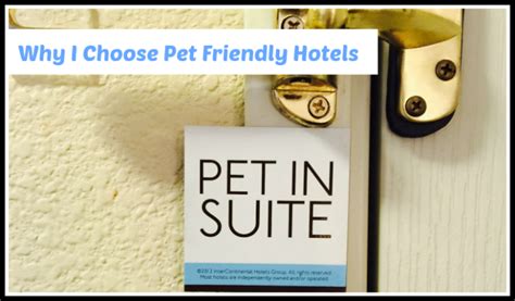 Traveling to Blogpaws - Why I Choose Pet Friendly Hotels