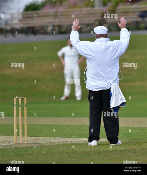 Cricket umpire signals hi-res stock photography and images - Alamy