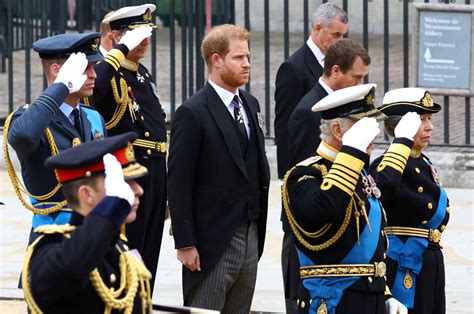 See Prince Harry and Prince William at Queen Elizabeth's Funeral - Parade