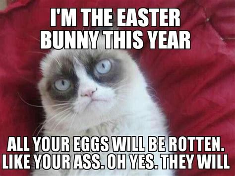 Easter grumpy cat | Grumpy cat humor, Grumpy cat, Cute cats