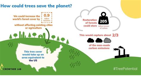 how to help with climate change - Impressed Zilla