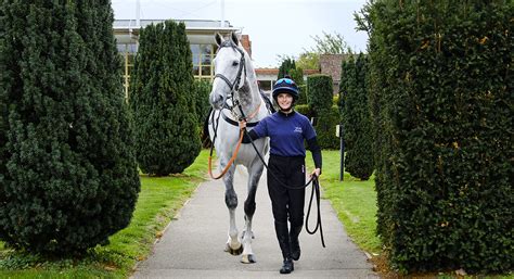 British Racing School - The Henry Cecil Open Weekend