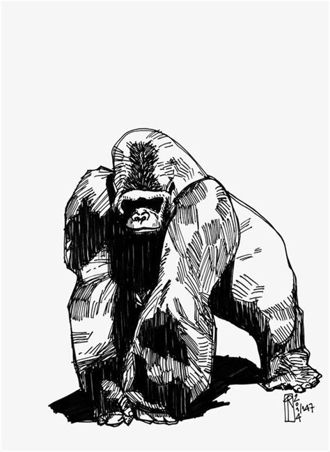 Gorilla PNG Images, Gorilla Clipart, Black Gorilla, Sketch PNG ...