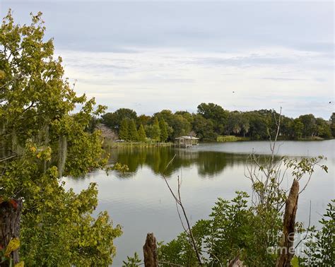 Lakeview Fall In Florida Photograph by Carol Bradley