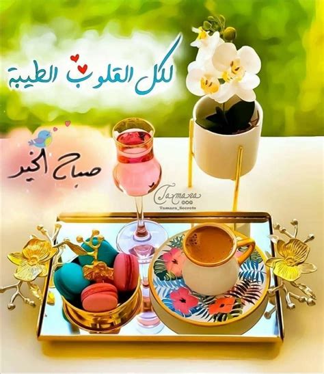 Pin on صباح الخير | Good morning arabic, Morning wish, Beautiful morning