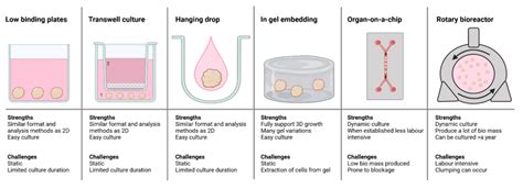 Overview of six 3D cell culture techniques