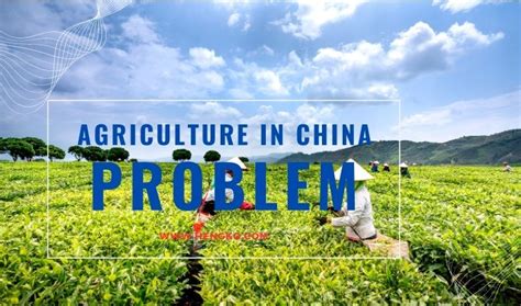 How to deal with the problem of argriculture in China?