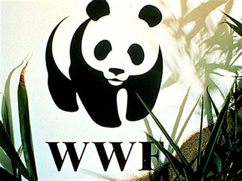 World Wildlife Fund Logo Designed by Landor & Associates | Immigrant Entrepreneurship