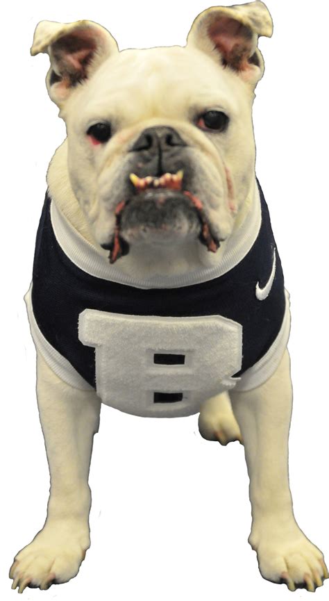 Bulldogs | Butler Blue