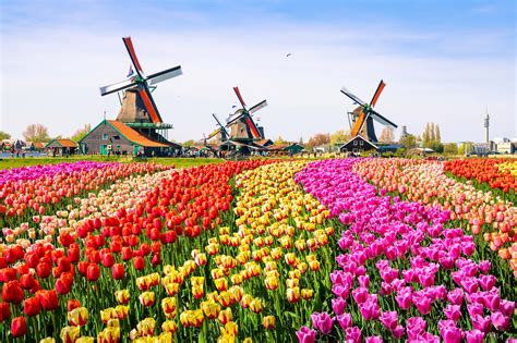 Best Attractions in the Netherlands: The Netherlands is known as the land of canals, windmills ...