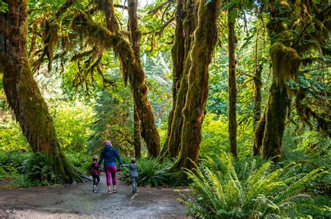 The Perfect 3 Day Itinerary for Olympic National Park — Big Brave Nomad