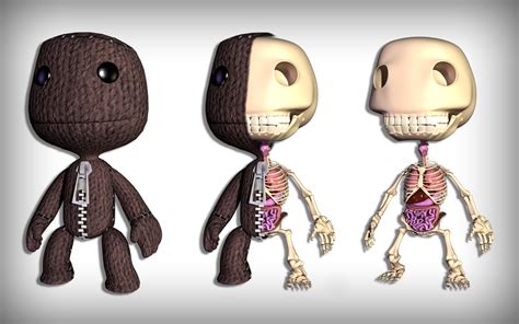 LittleBigPlanet Sackboy Skeleton Anatomy Bones HD wallpaper | games | Wallpaper Better