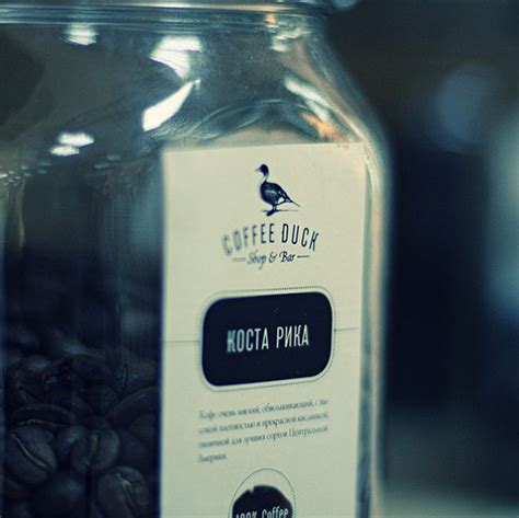 Coffee Duck on Behance