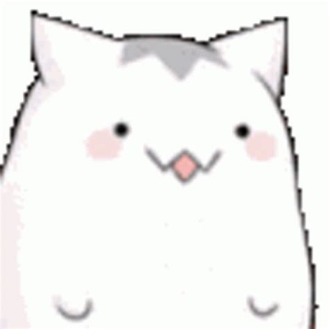 Cat Angry Sticker - Cat Angry - Discover & Share GIFs