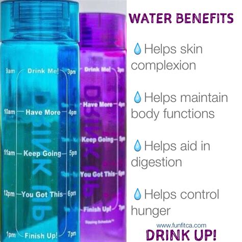 Water Benefits: Helps skin complexion * Helps maintain body functions * Helps aid in digestion ...