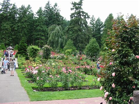 Washington Park Rose Garden, Portland, Ore. | You'll be taki… | Flickr