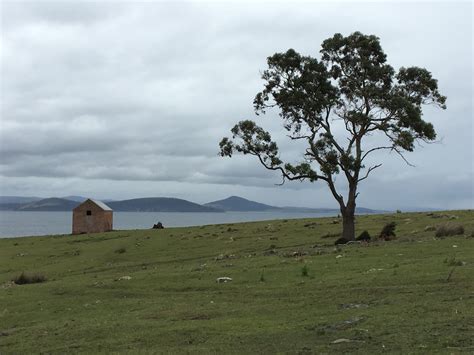 Huon View: Maria Island Walk