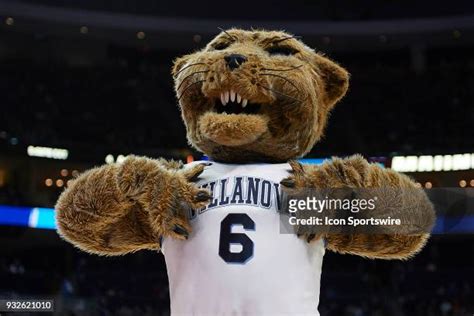 Villanova Mascot Will D Cat Photos and Premium High Res Pictures ...