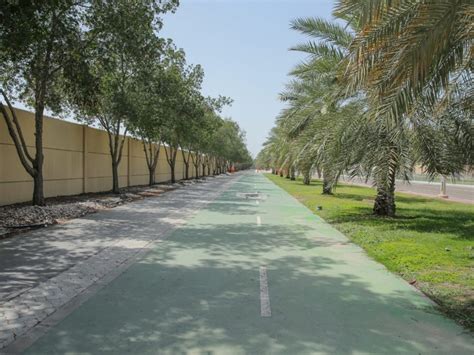 Abu Dhabi’s new running and cycling tracks are almost complete | Time Out Abu Dhabi