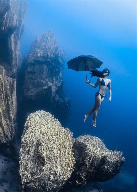 Winners From the 2016 Ocean Art Underwater Photo Contest - InsideHook