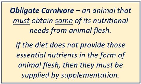 What is an Obligate Carnivore? - Raw Fed and Nerdy