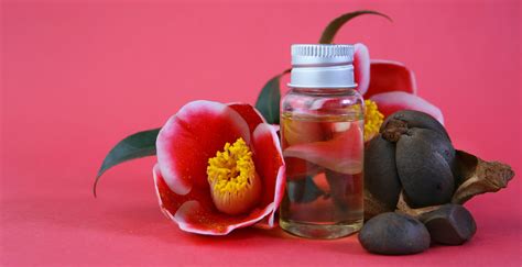 Research-Based Benefits of Camellia Oil: The Ultimate Guide — Wholesale Botanics