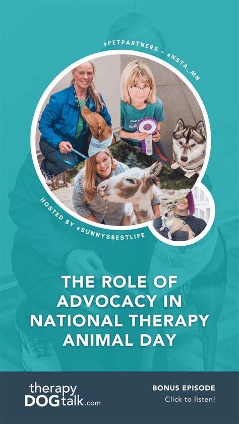 The Role of Advocacy in National Therapy Animal Day | Sherrie Rohde