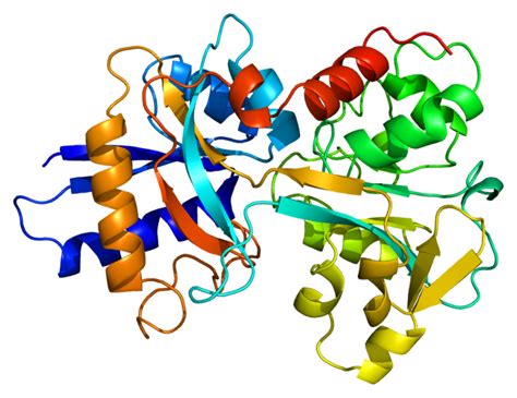 Difference Between Ferritin and Transferrin | Compare the Difference Between Similar Terms