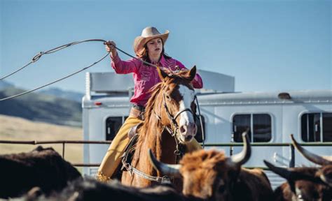 Cowboy Roping Cattle Stock Photos, Pictures & Royalty-Free Images - iStock