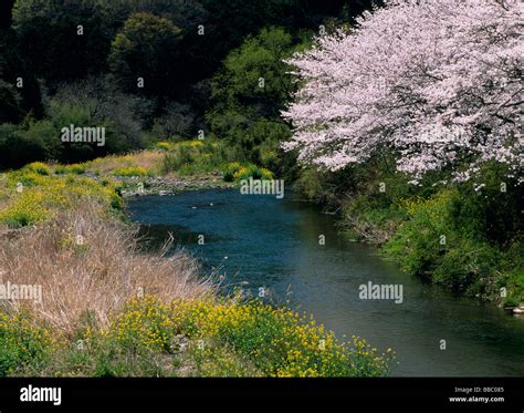 Matsuzaki shizuoka japan hi-res stock photography and images - Alamy