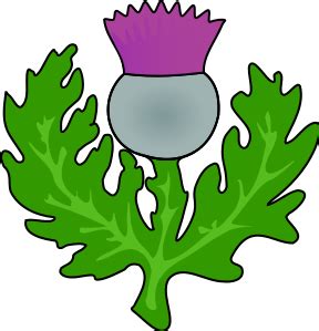 Thistle Clipart - ClipArt Best