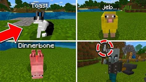 Top 5 Minecraft mobs with hidden secrets