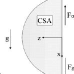 Weld pool support geometry | Download Scientific Diagram