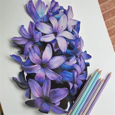 Love how these look 3D | Color pencil art, Flower drawing, Flower art