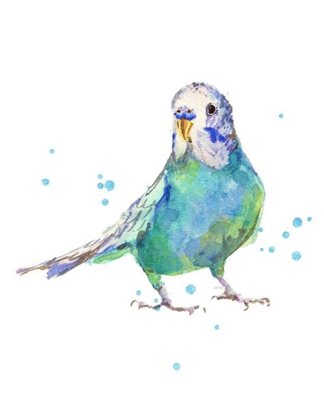 Bertie Wonderblue The Budgie (by Alison Fennell) | Budgies and other birds v roce 2018 ...