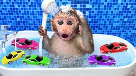 Monkey Baby Bon Bon Bathing In The Bathroom With Eating Watermelon With Ducklings Side Swimming ...