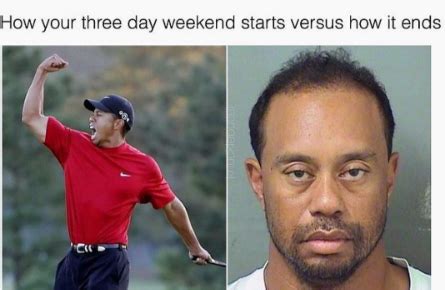 Tiger Woods Memes, DUI - Top 10 Funniest