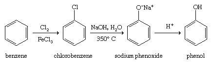 convert benzene into phenol - Brainly.in