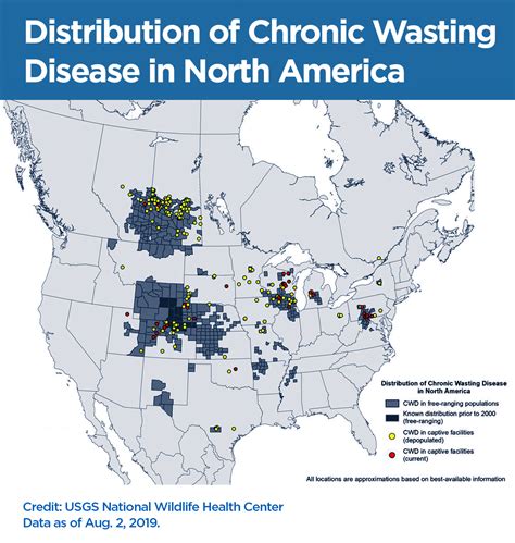 Allowing Infected Deer Into Food System Could Pose Risk to Public, Experts Say