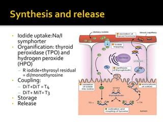 Thyroid Storms Emergency and Myxedema Crisis | PPT