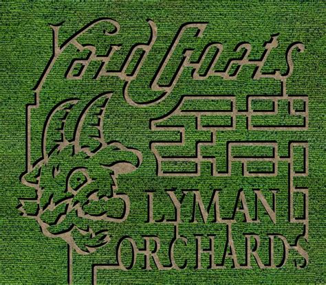 Lyman Orchards 18th Annual Sunflower Maze Sets Opening Date of July 27th | Lyman Orchards