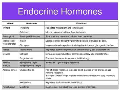 Endocrine system hormones