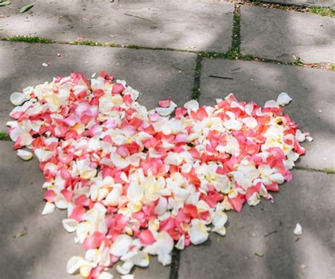 Rose Petals - Wedding Packages NYC