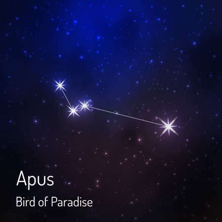 Apus (bird of paradise) constellation in the night starry sky. illustrationのイラスト素材 [40073097629 ...