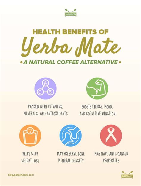 Health Benefits of Yerba Mate, a Natural Coffee Alternative