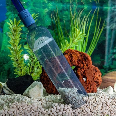 How To Clean Aquarium Rocks? - Classified Mom