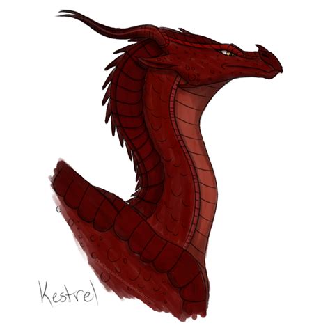 WoF D-a-D Day 6 - Kestrel by xTheDragonRebornx on DeviantArt | Wings of fire, Wings of fire ...